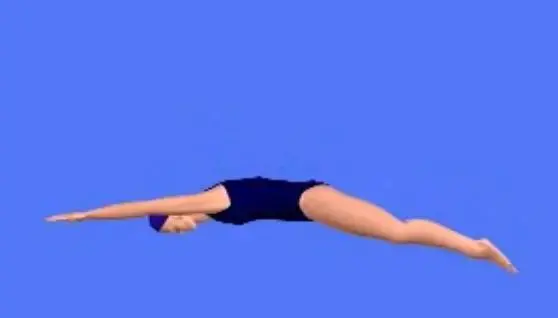 【荻原智子】游泳教学（仰泳、爬泳、蛙泳、蝶泳）视频课程