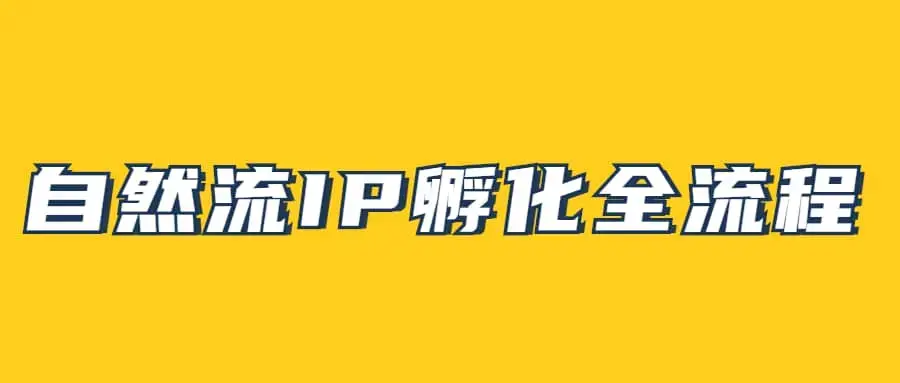 自然流IP孵化，系统掌握IP孵化全流程