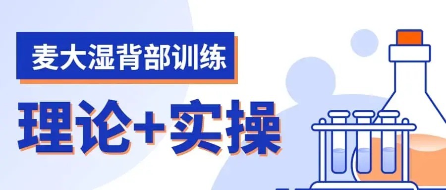 麦大湿背部训练视频课程（理论+实操计划）