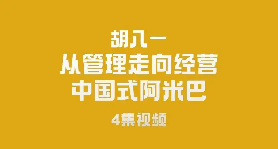 胡八一-从管理走向经营-中国式阿米巴（4集）