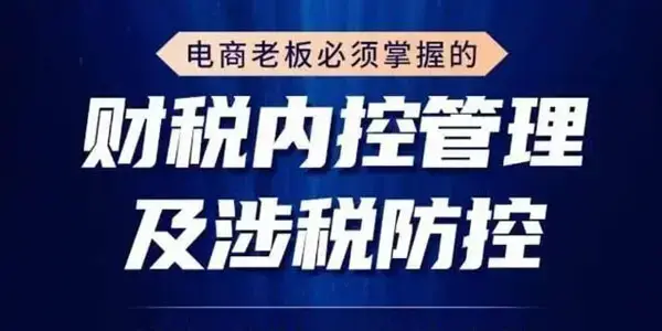 电商老板必须掌握的财税内控管理及涉税防控，解读新政下的税收政策，梳理公司财务架构
