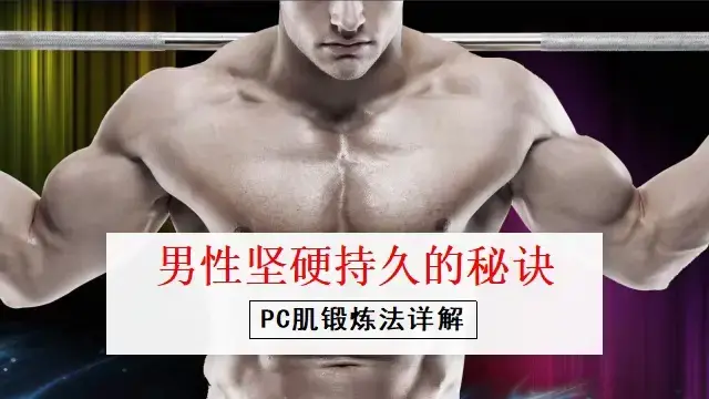 男性坚挺持久的秘诀——PC肌训练法-图片1