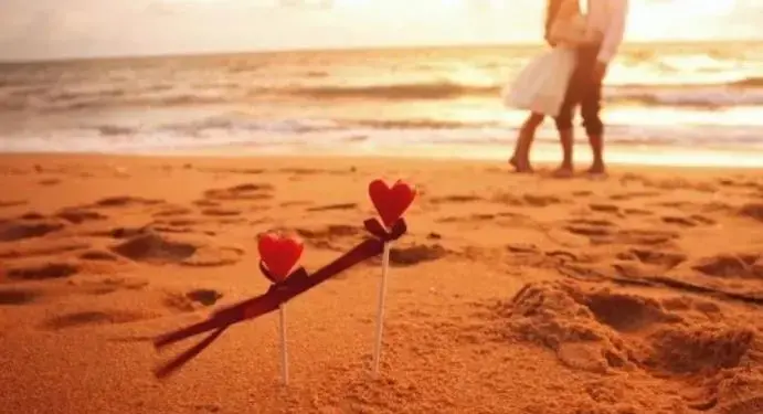 《情叔叔入房术》涵盖：实战战略调情理论，各种场合操作指南，慢半拍原理等内容