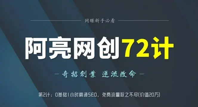 阿亮网创72计第2计：0基础1小时精通SEO，免费流量取之不尽
