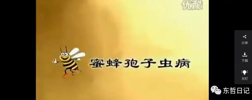 东哲日记：全网首创实物虚拟电商项目，速来捡钱，成本低，一单赚几十块！-图片4