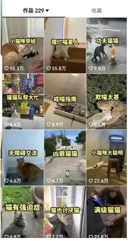 拆解：抖音盘点类中视频变现副业项目，视频版一条龙大解析分享给你-图片3