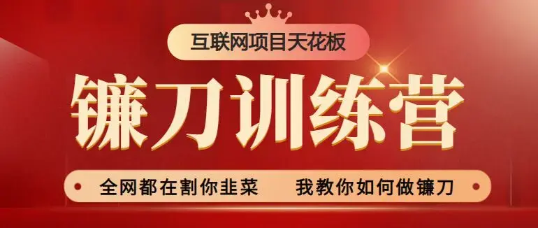 2024年普通人如何利用知识付费项目年入百万，实现财富自由