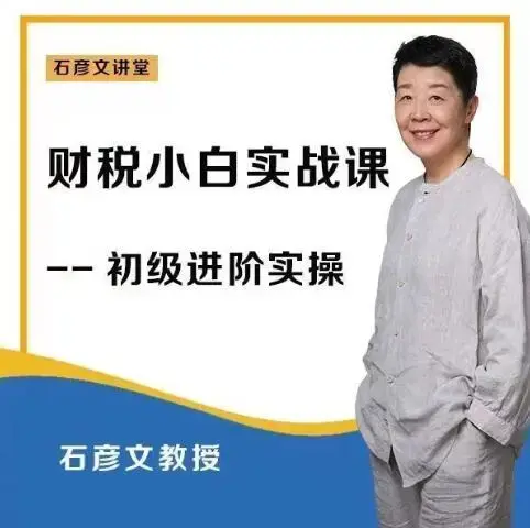 石彦文财稅小白实战 财务会计实操课程