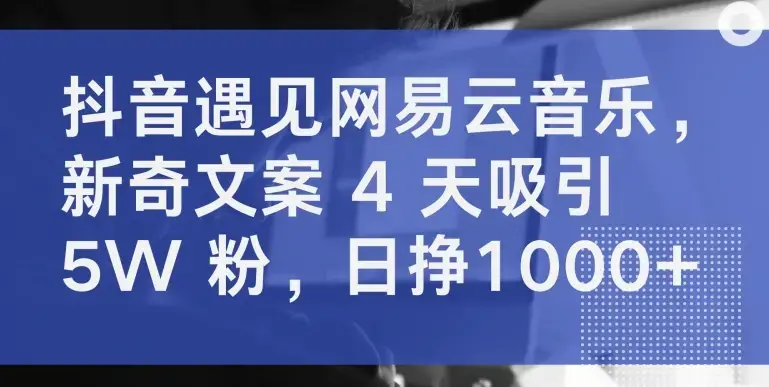 抖音遇见网易云音乐，新奇文案 4 天吸引 5W 粉日挣1000+