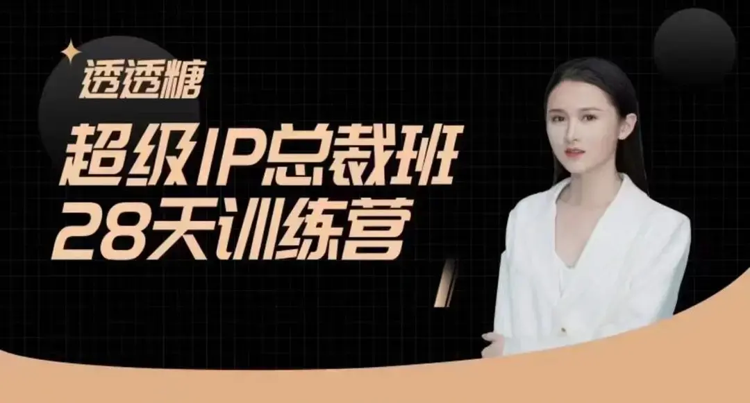 透透糖·超级IP总裁班28天训练营-5月新课，新媒体高效获取能变现的精准流量