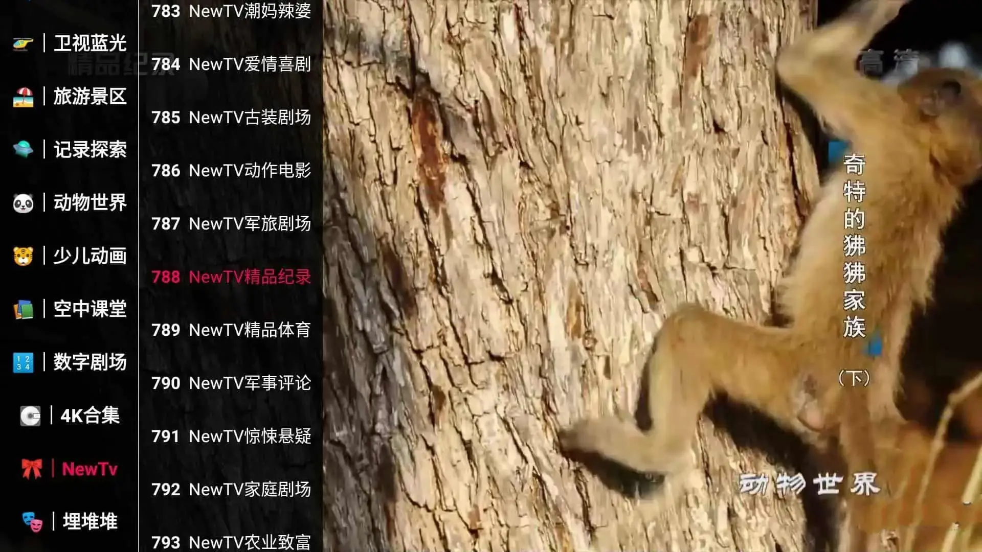 新苹果影视盒子v1.6.0内置视频源+盒子TV|免授权免登录无限制