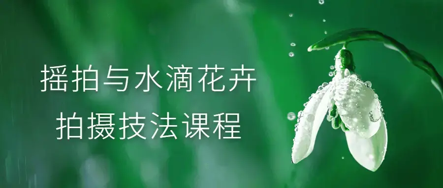 将教授摇拍和水滴花卉拍摄技法教程