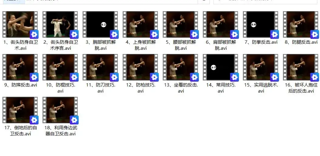 格斗-实战防身术格斗术和自卫术