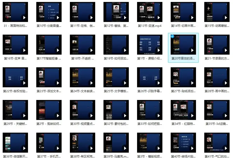 魏不惑:小白一学就会的短视频剪辑课