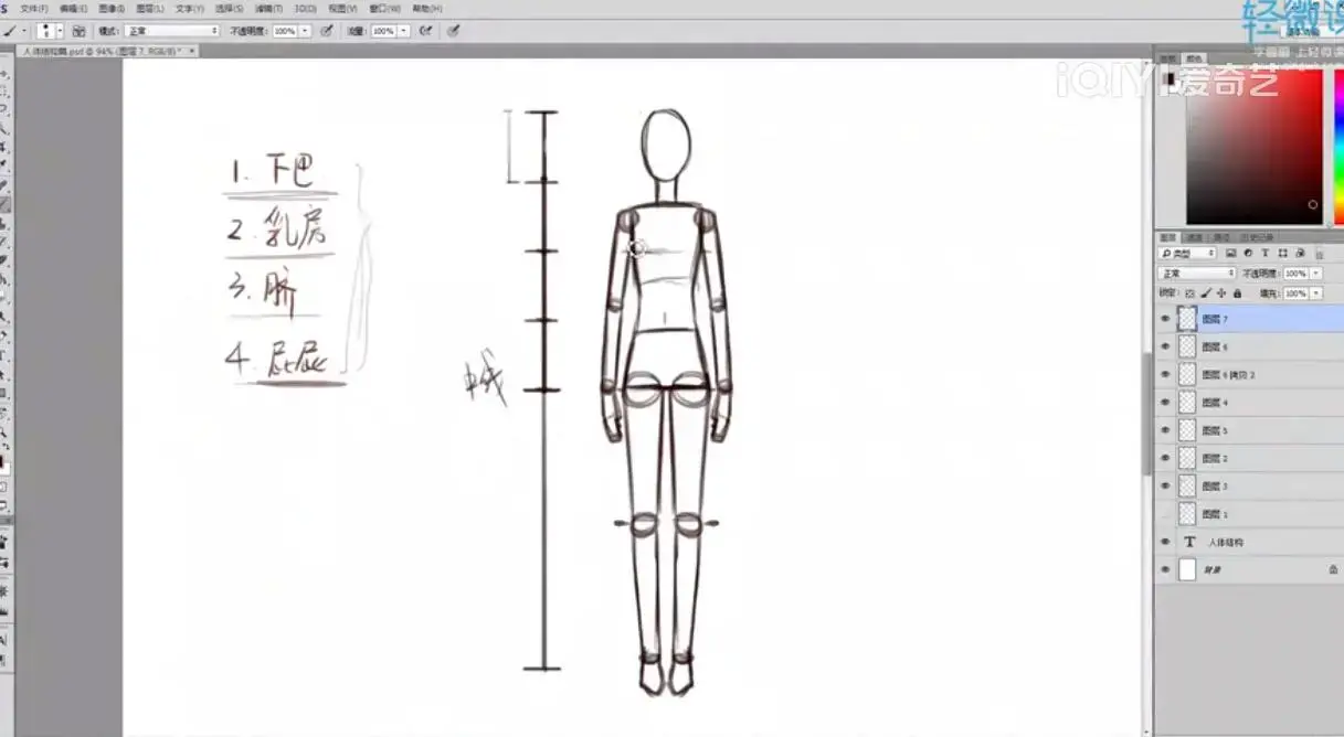 人体结构与比例初级入门之动漫绘制