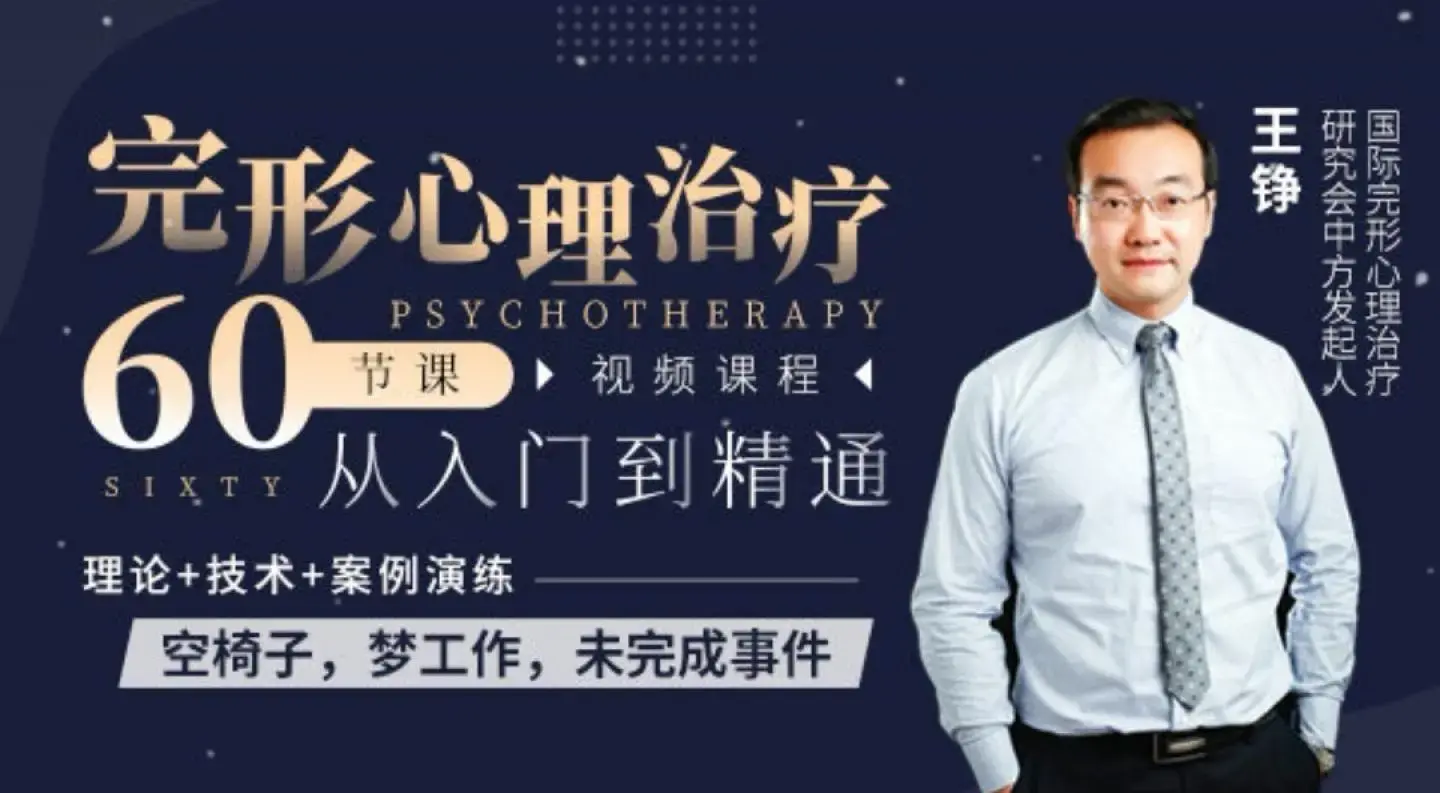 王铮完形心理治疗60节从入门到精通