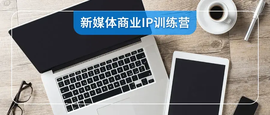 新媒体商业IP基础训练营视频