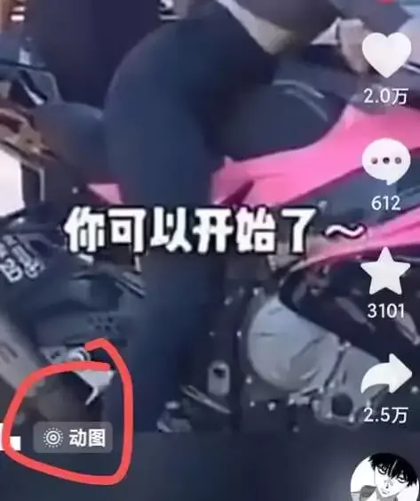 2024年苹果手机动图搬运技术