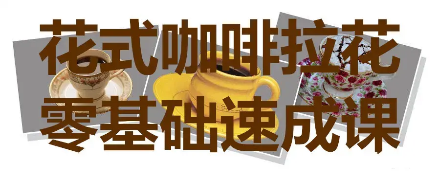 花式咖啡拉花零基础速成课