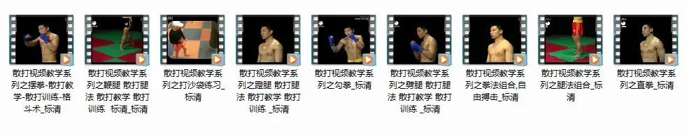 散打视频教学全系列_散打训练格斗术
