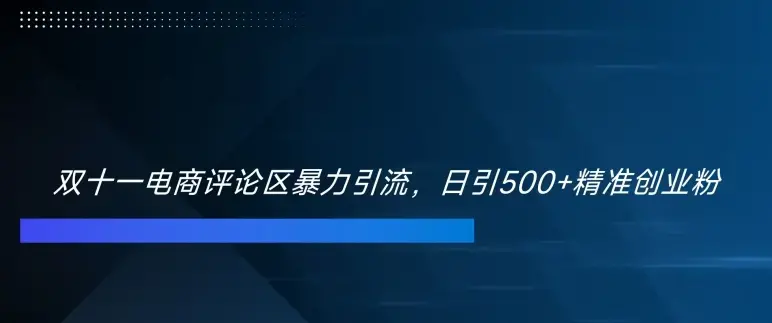 双十一电商评论区暴力引流，日引500+精准创业粉