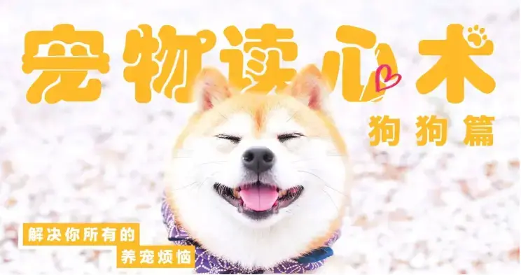 宠物读心术：解决你的养猫烦恼、解决你的养狗烦恼