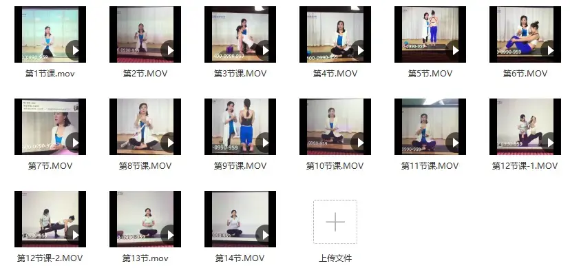 邱源维密塑型私教 视频 14节课