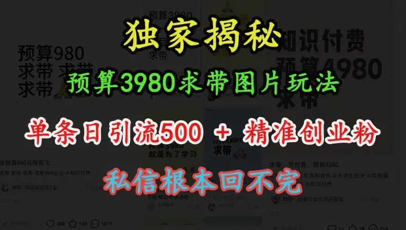 图片玩法，单条日引流500+精准创业粉，私信根本回不完