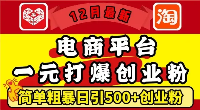 12月最新：电商平台1元打爆创业粉，简单粗暴日引500+精准创业粉