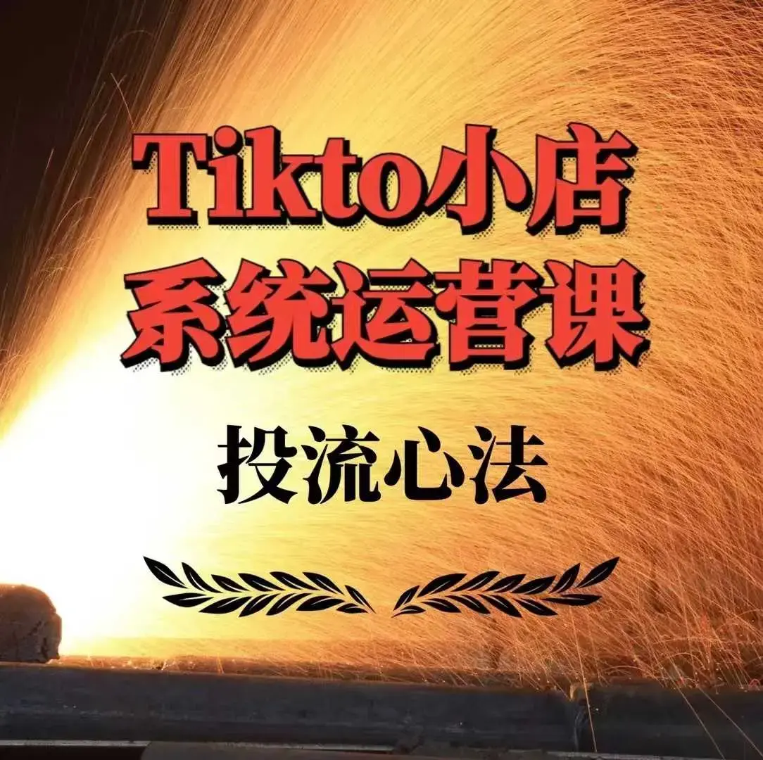 TikTok小店系统运营课：Allen-TK投流技法全攻略，包括广告命名 扩量手法及市场运营方法