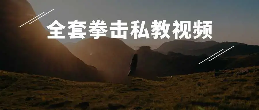 全套拳击私教视频 武术搏击