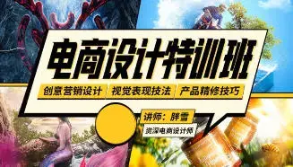 胖雪电商设计速成班