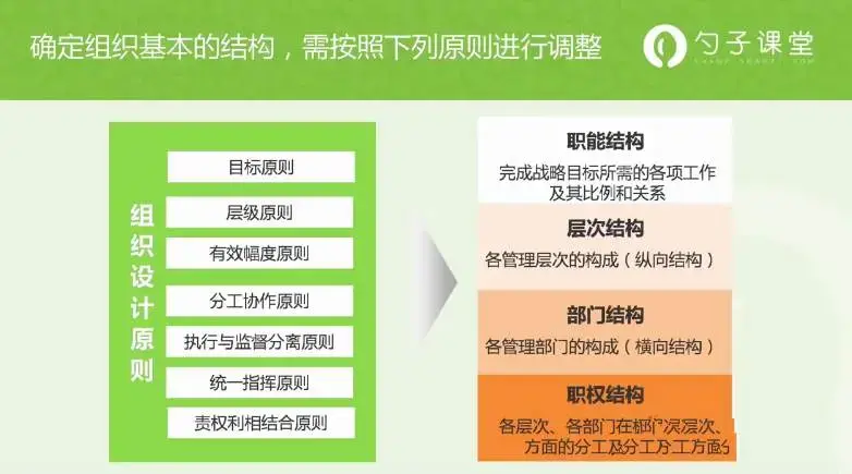 【组织经营】设计组织结构的基本原则