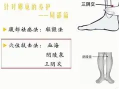 30+岁女人保养视频教程（高老师 10集）