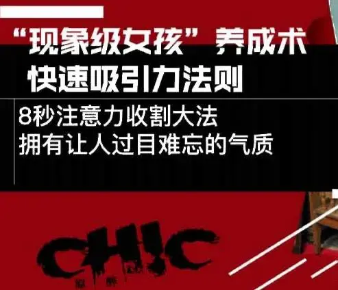 Chic原醉《现象级女孩养成术，快速吸引力法则》