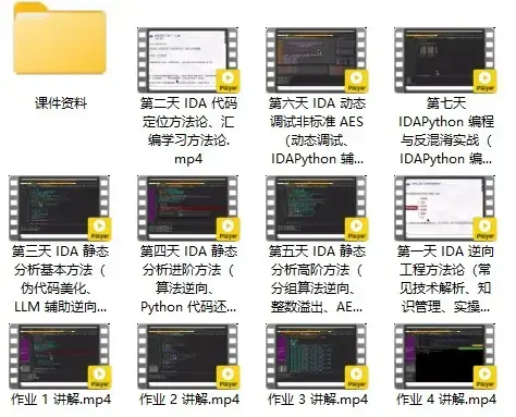 7天打造IDA9.0 大师：从零基础到逆向精英（价值299元）