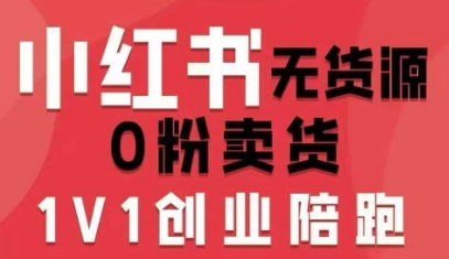 爱野佩佩小红书无货源0粉电商课，开店准备、选品策略、笔记撰写、视频剪辑、数据分析、账号打造、资料文档