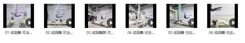 赵思齐 表演级空中舞韵 高级