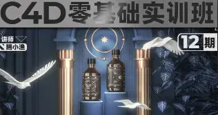 腾小渔C4D零基础实训班第12期+第11期