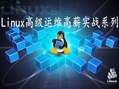 Linux视频教程之高级运维企业实战（高级版）