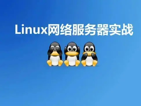 Linux网络服务器实战视频课价值399元