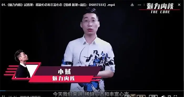 爱上情感《魅力内核：你的强大状态引擎》18.5G