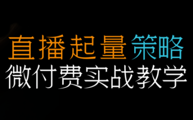 半野老师·直播带货起量与微付费必学课视频号（更新2026）