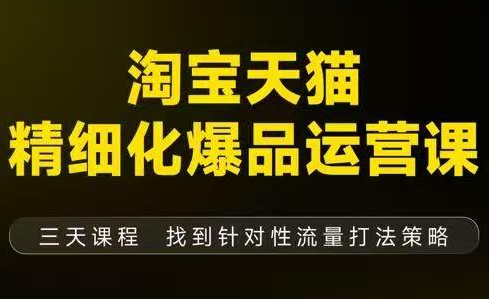 猫课子幽·淘宝天猫精细化爆品运营【音频+字幕+文档】（9月12-14杭州线下课）