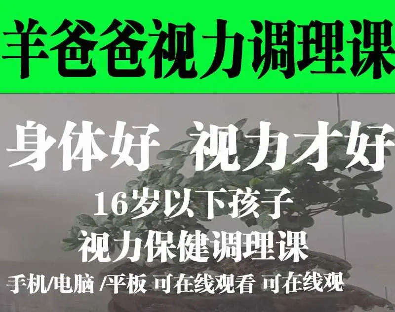 羊爸爸16岁以下孩子的视力保健调理课