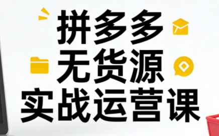 子枫老师·拼多多无货源实战运营课（更新12月）