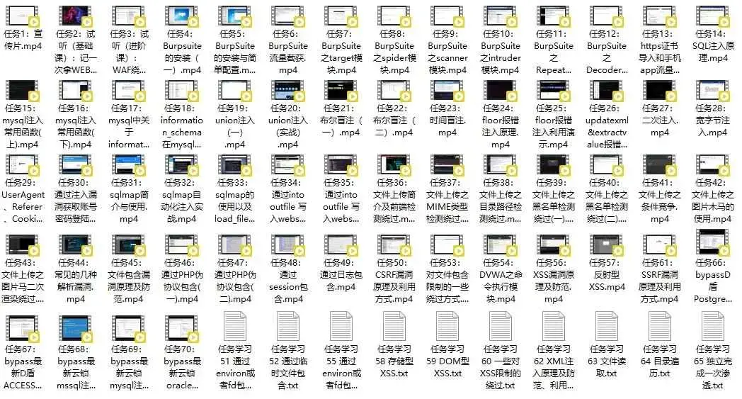 最新WEB渗透安全测试工程师 实战就业班 价值4.5k