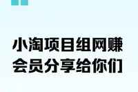 小淘项目组网赚永久会员课价格几千（更新2026）-图片1