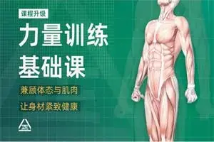 一介粗人x麦大湿《男性力量训练课程》-图片1