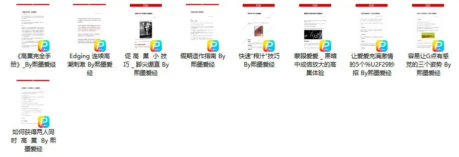 李熙墨-D系列 高巢指南 电子书